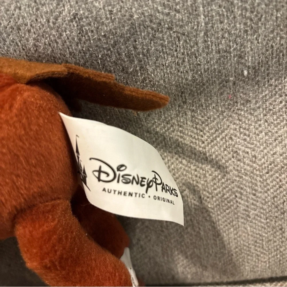 Disney authentic parks